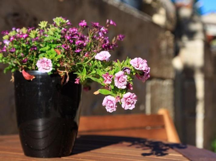 Le Coeur Des Vignes Hotel Пойак Екстериор снимка